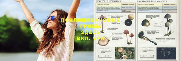 твердый Богородицк