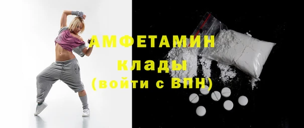прущие грибы Верхний Тагил