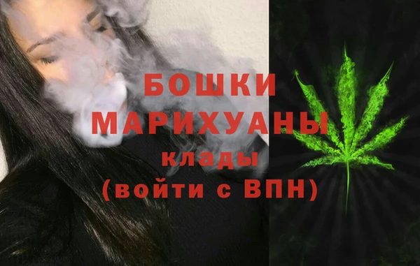 прущие грибы Верхний Тагил