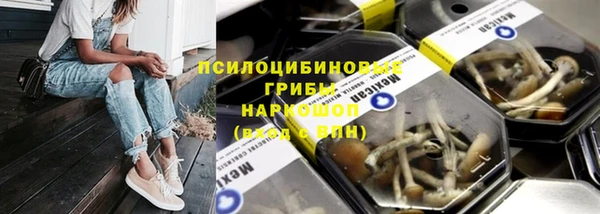 прущие грибы Верхний Тагил
