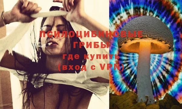 прущие крисы Богородск